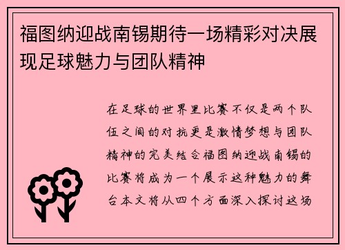 福图纳迎战南锡期待一场精彩对决展现足球魅力与团队精神