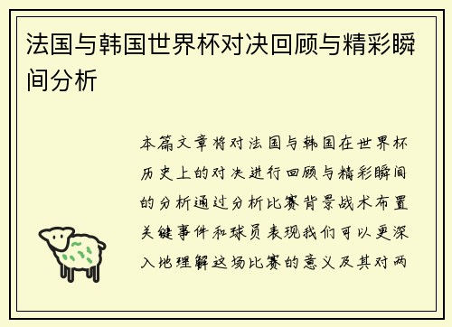 法国与韩国世界杯对决回顾与精彩瞬间分析