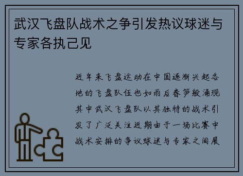 武汉飞盘队战术之争引发热议球迷与专家各执己见